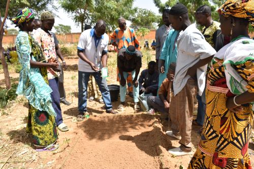 Optimisation de la production maraîchère : l’UFC-Dori renforce les capacités des producteurs du Sahel